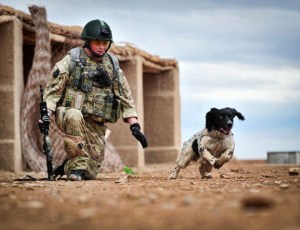 mwd 2