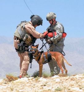 mwd 3