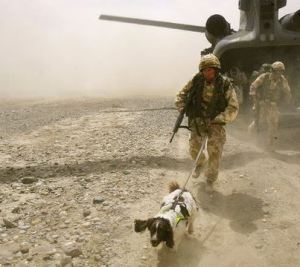 mwd1b