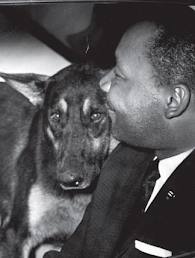 mlk and dog