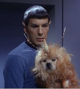 nimoy dog 4