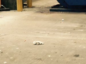 This struck me as very sad.