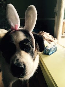 SubstandardFullSizeRender