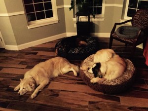 SubstandardFullSizeRender(1)