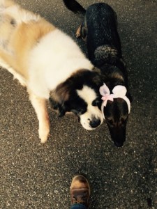 SubstandardFullSizeRender(2)