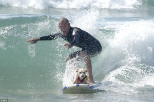 surf dog