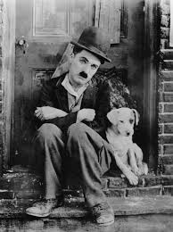chaplin-dogs-life